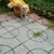 Profile picture small