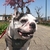 Profile picture small