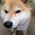 Profile picture small