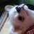 Profile picture small