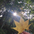 Profile picture small