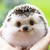 Profile picture small