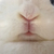 Profile picture small