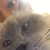 Profile picture small