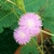 Profile picture small