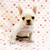 Profile picture small