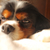 Profile picture small