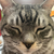 Profile picture small