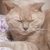 Profile picture small