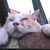 Profile picture small