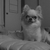 Profile picture small