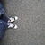 Profile picture small