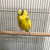 Profile picture small