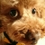Profile picture small