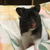 Profile picture small