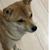 Profile picture small