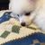 Profile picture small
