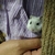 Profile picture small