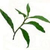 Profile picture small