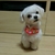 Profile picture small