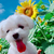 Profile picture small