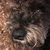 Profile picture small