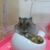 Profile picture small