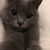 Profile picture small