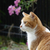 Profile picture small
