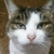 Profile picture small