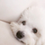 Profile picture small