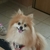 Profile picture small