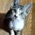 Profile picture small