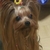 Profile picture small