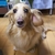 Profile picture small