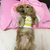 Profile picture small
