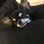 Profile picture small