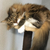 Profile picture small