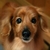 Profile picture small