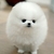 Profile picture small