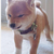 Profile picture small