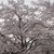 Profile picture small