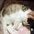 Profile picture small