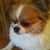 Profile picture small