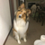 Profile picture small