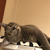 Profile picture small