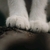 Profile picture small