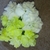 Profile picture small