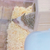 Profile picture small