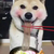 Profile picture small